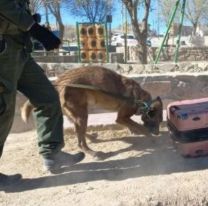 Atraparon a un peligroso narco con 4 kilos de cocaína dentro de su valija en La Quiaca