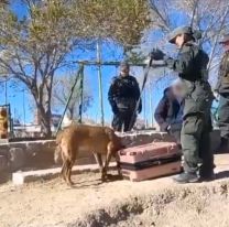 Quiso pasar de Bolivia a Jujuy con 4 kilos de merca y lo pilló Gendarmería