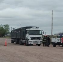 Nadie entendía que pasaba: Camionero muere en la ruta de un infarto mientras manejaba