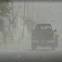 Alerta amarilla en Jujuy por fuertes ráfagas de viento para este sábado