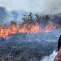 Las impactantes imágenes del incendio en Carlos Paz: alcanzó algunas viviendas