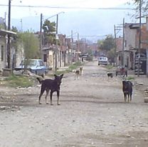 El Chingo está cada vez peor: Dos apuñalados en menos de 30 minutos