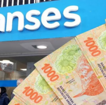El nuevo bono de $10.000 que entregará Anses en estos días: cómo anotarse