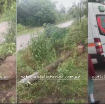 En plena lluvia, colectivo se reventó contra un poste de luz: más de 20 heridos