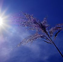 Domingo de muchísimo calor en Jujuy ¿Se viene la tormenta? 