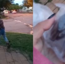 Un nene fue a pedir dulces a una carnicería por Halloween, pero como no tenían le hicieron un regalo insólito