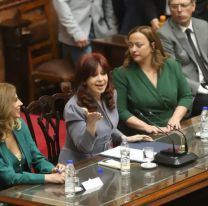 Reapareció Cristina y le pidió "un último esfuerzo" a la militancia