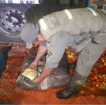 Tomates voladores: secuestraron un cargamento de marihuana en Jujuy