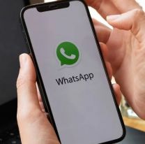 Evitá el WhatsApp trucho que ya infectó a miles de usuarios: cómo detectarlo