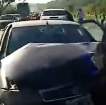 Un caballo suelto sobre Ruta 66 provocó un choque en cadena