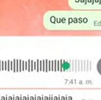 Estaba hablando con un chico, recibió un audio inesperado y se descargó con su amiga