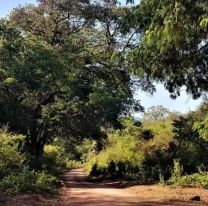 Llevó al monte a su sobrinito de 6 años y le hizo algo horrible: "le tocó la..."