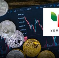 La estafa de Yomigt: cómo funciona la app en la que cayeron miles de jujeños