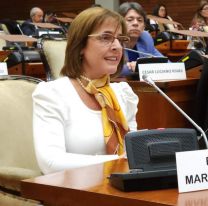 Burgos pegó el portazo y renunció a la Legislatura por un nuevo cargo