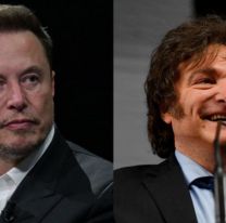 El mensaje de Milei a Elon Musk: "Necesitamos..."