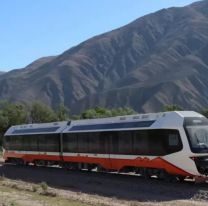 Cinco sujetos fueron detenidos por intentar dañar el Tren solar de Jujuy