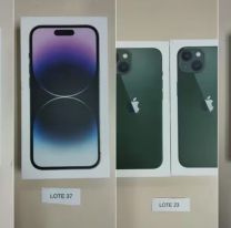 La Aduana subastará iPhones a menos de mitad de precio: como anotarse