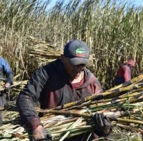 Reforma laboral: Los cambios que se vienen en tu trabajo 