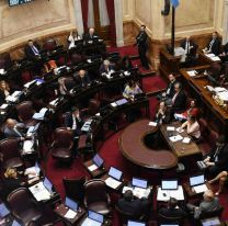 Estos son los senadores que formarán parte de la bicameral que tratarán los DNU de Javier Milei