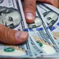 El dólar blue cae $10 y acumula un descenso de $50 en la semana