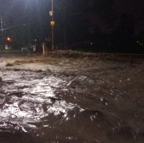 Volvió a desbordar el arroyo Las Martas: Los vecinos están indignados 