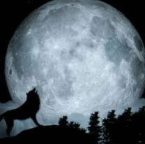 Noche del lobo: cuándo se puede ver la primera luna llena del 2024 y cómo afecta a cada signo