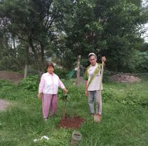 Vecinos de Palpalá salen a poner árboles en las plazas ante la falta de respuesta del municipio