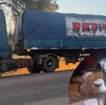 Salta no avanza contra la causa de Petit Plast a pesar de las denuncias  