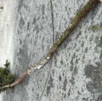 Jujeño murió en una terrible tragedia tras la tormenta de ayer