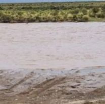 Jujeño no sabía nadar, se metió al río y murió ahogado 