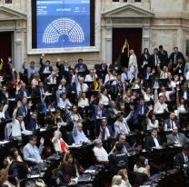 Diputados reinician sesión para debatir la Ley Ómnibus en particular