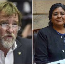 Rizzotti y Sarapura en la lista de "traidores" de Milei