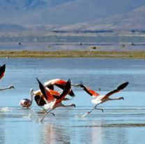 Cerraron la Laguna de Pozuelos por el estado del camino