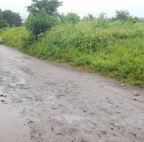 Intendente ausente en El Carmen: Vecinos tapados por yuyos