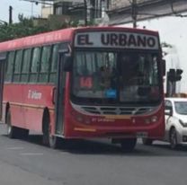 Se levantó el paro: Así estan funcionando los colectivos