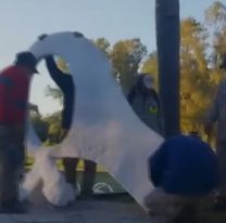 Córdoba: retiraron un monumento en homenaje a las Madres de Plaza de Mayo