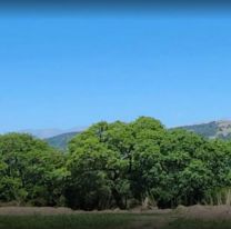 [URGENTE] Encontraron a un hombre sin vida en una finca