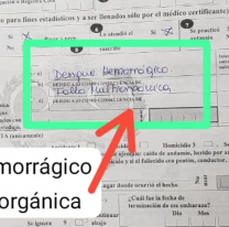 Otro jujeño murió por dengue hemorrágico: lo confirmó el hospital de Perico