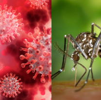 Jujeño tendría dengue y COVID en el hospital Gallardo de Palpalá