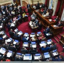 Los senadores se aumentaron el sueldo: pasarán de cobrar de $1,9 millones a $7,2 millones