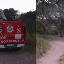 Hallaron el cuerpo de un hombre sin vida a la vera de Ruta 34