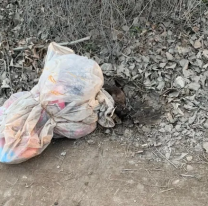 Horror descomunal, abandonaron a un bebé y un auto le aplastó la cabeza