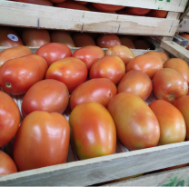 "Tomate por unidad", ante la crisis, la gente compra de a uno o de a tres