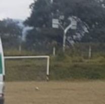 Desesperación en un partido de fútbol en Jujuy: Murió un hombre