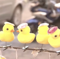 Locura por los "patitos Kawaii". ¿Quién los inventó, de dónde vienen?