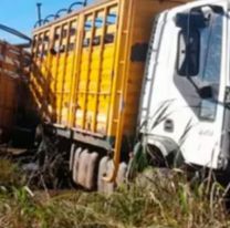 Trágico choque entre un camión y un auto: murieron un nene, su mamá y su abuela