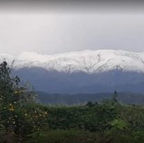 Alerta por caída de nieve en Jujuy: comenzó la ola polar