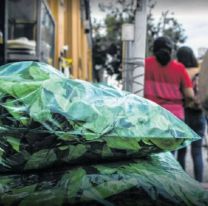 "Por la suba del dólar", aumentó el precio de la hoja de coca: a cuánto está