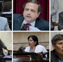 Así votaron los diputados jujeños la fórmula jubilatoria