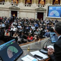 El veto presidencial: cómo funciona y de qué modo puede neutralizarlo el Congreso